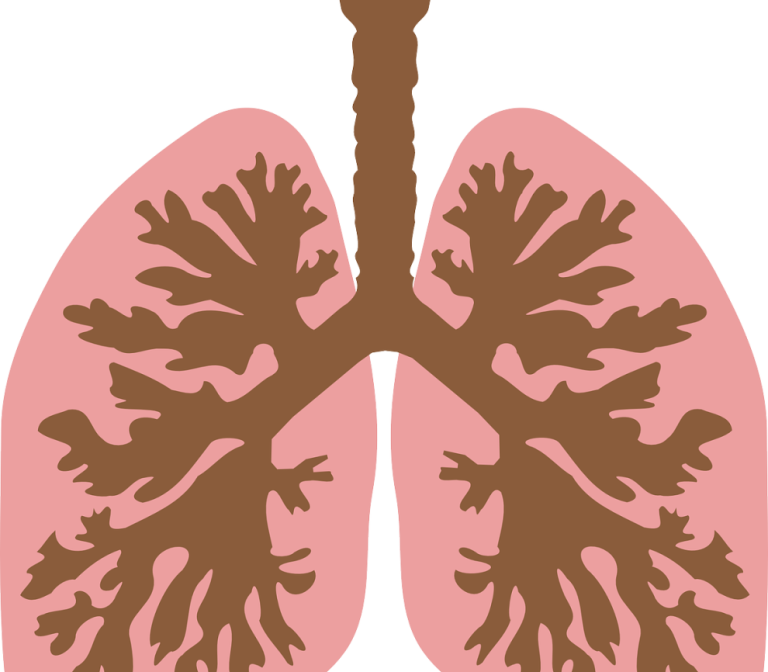 SSc-ILD studie: De rol van ontsteking, fibrose en verkalkingen in de longen bij patiënten met Systemische Sclerose.