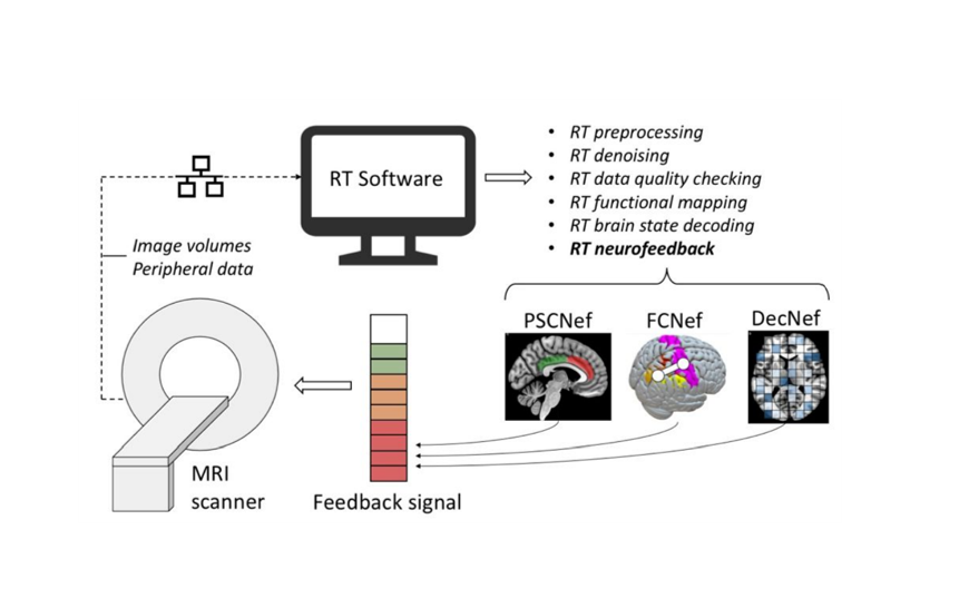 Real-time fMRI neurofeedback to better identify and treat cognitive impairments in epilepsy. 