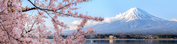 Mt fuji, lake and cherry blossom tree