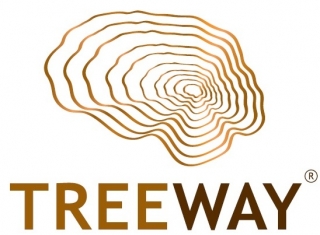 Treeway prepares phase 3 study for TW001 to treat ALS 
