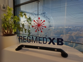 RegMed XB accelerates the development of therapies for four chronic diseases