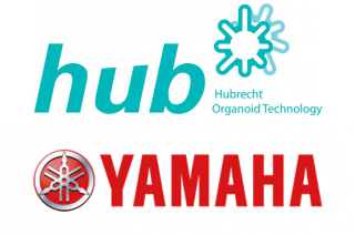 HUB and Yamaha Motor Combine their Proprietary Technologies 