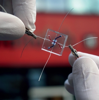 Seven projects on Organ-on-Chip technology awarded