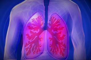 New international consortium to tackle tuberculosis