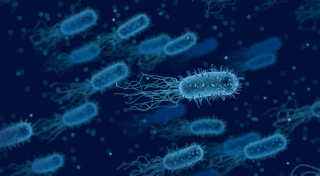 Call for Tender "Antisuperbugs"