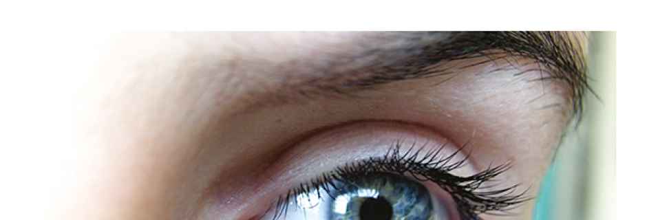 eHealth-monitor 2017 | Consciously choose eHealth