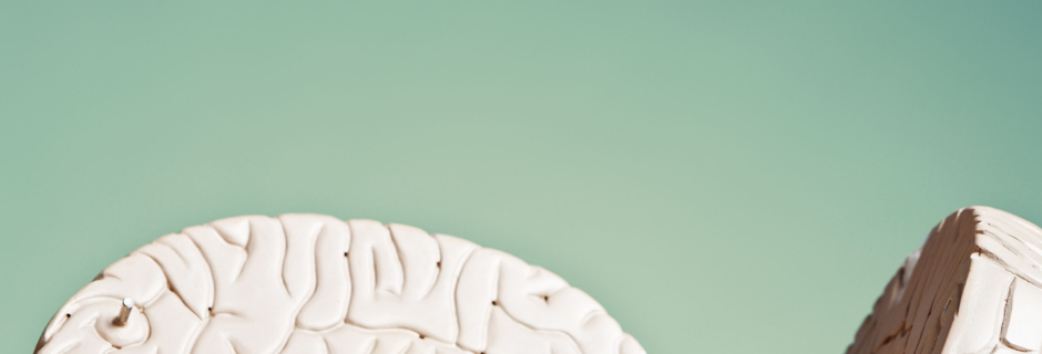 Vier projecten versterken kennisdeling over hersen- en psychische gezondheid