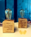 National Healthcare Innovation Award Winners Are TrueSim and Wolkheupairbag