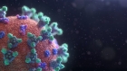 AstraZeneca: First Vaccine Test Results Show Strong Antibody and T Cell Responses