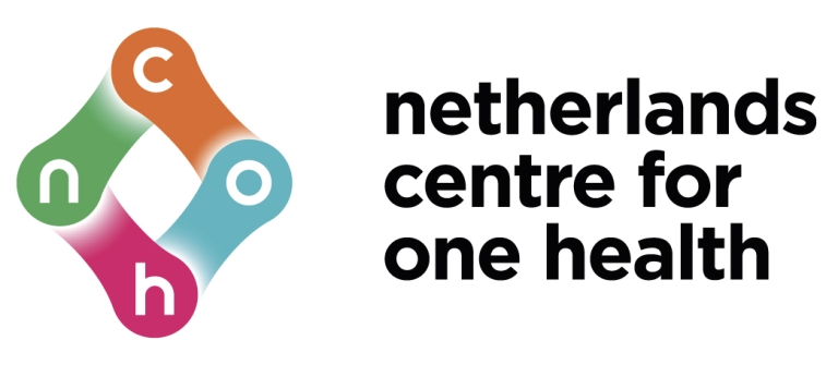 Logo NCOH RGB