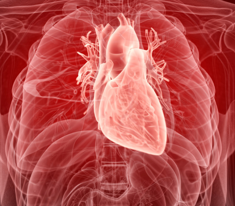 Early diagnosis of stable coronary heart disease using biomarkers from blood plasma extracellular vesicles