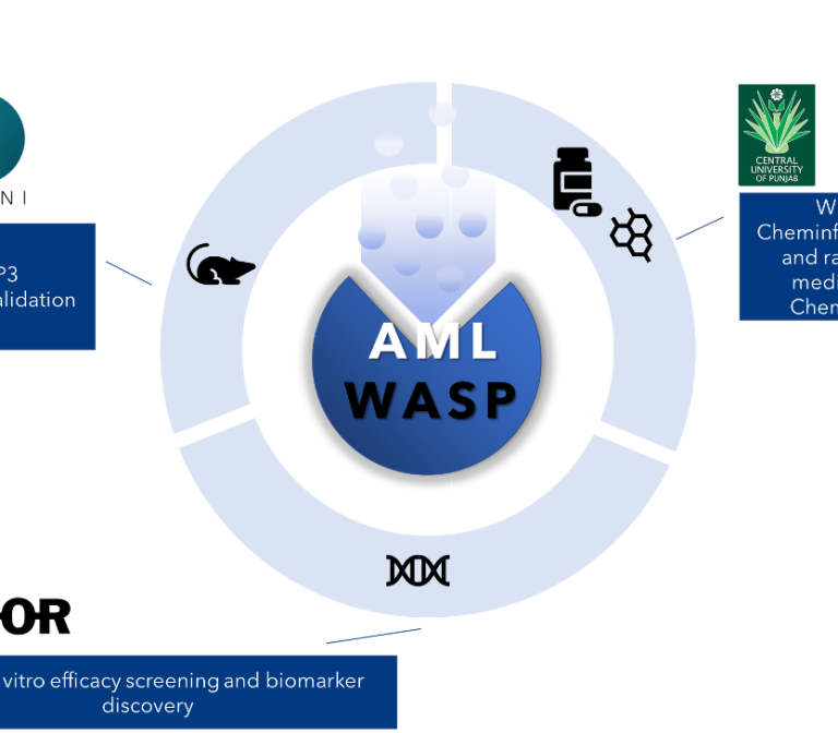 First-in-class small molecule therapeutics for myeloid leukemias