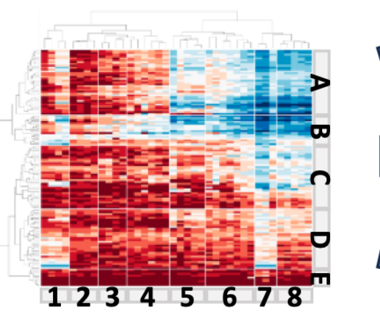 Unraveling the Rheumatoid Factor autoantibody repertoire profile preceding disease onset