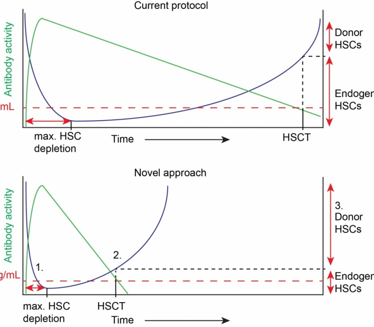 A novel low-risk approach to improve treatment of hematopoietic disorders