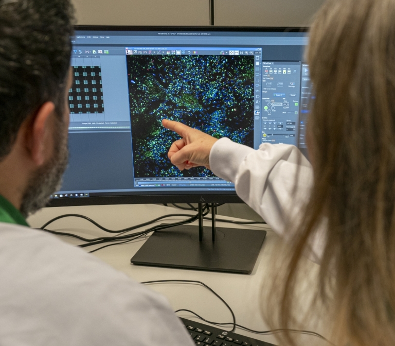 Imaging cellular stress responses to discover protective medicines