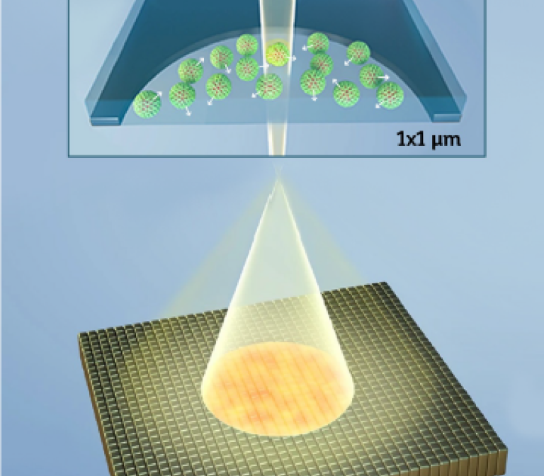 4DEM: Ultrafast four-dimensions Electron Microscopy on Biological Samples. 
