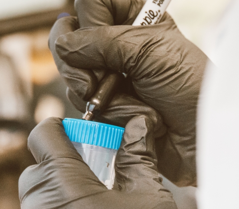 Biomarker