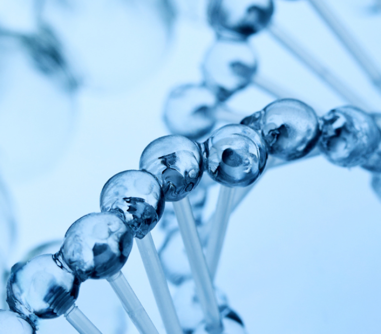 Multi-omics biomarker discovery for individualized nivolumab treatment in esophageal cancer