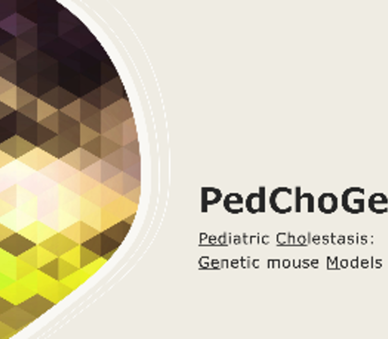 Pediatric cholestatic diseases studied and treated via genetic mouse models 
