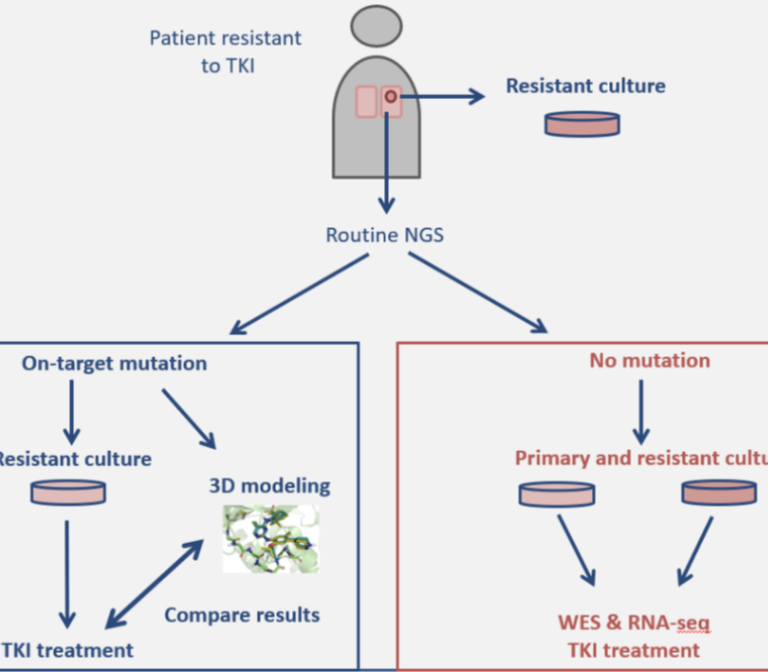 Resistance on TKI of mutation+ NSCLC in PDX