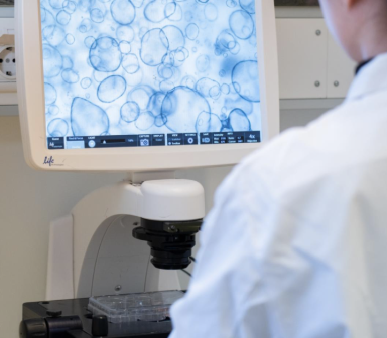 https://www.scinus.com/blog/organoid-culture-for-disease-modeling/