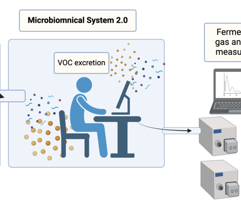 Real-Time Gut Fermentation Monitoring for Personalized Health