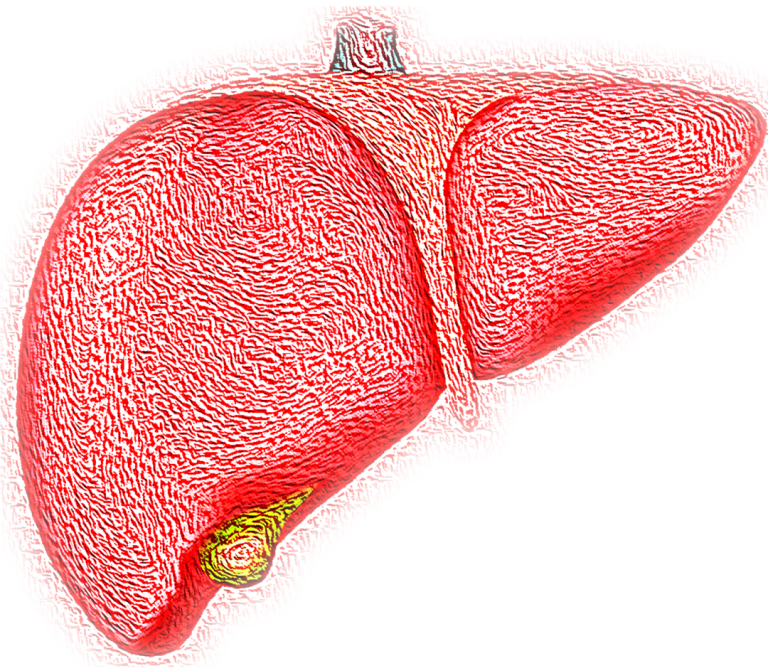 Fibroblast growth factors to combat fatty liver disease