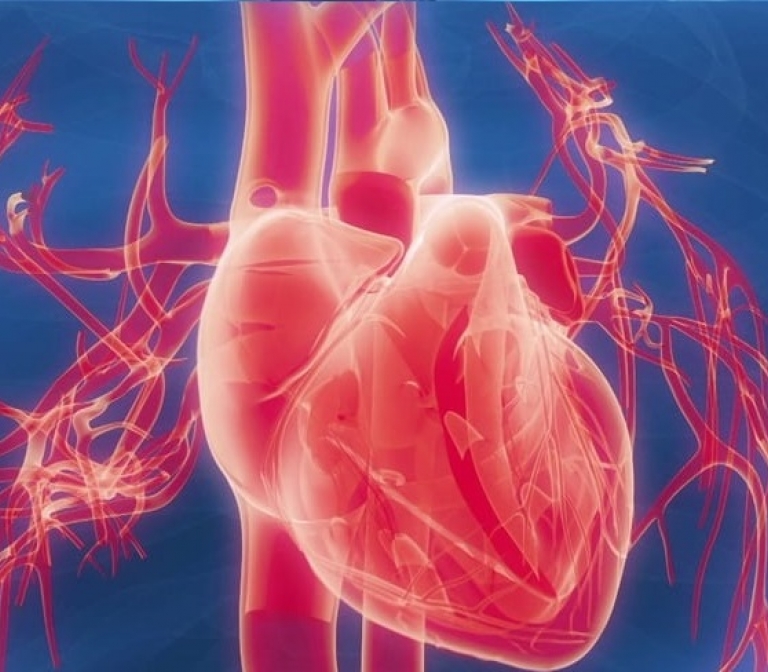 DEEPTISSUE: deep learning for cardiac tissue classification