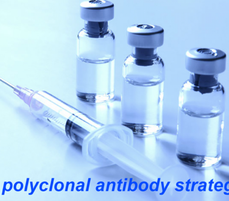 Towards an angiostatic cancer vaccine