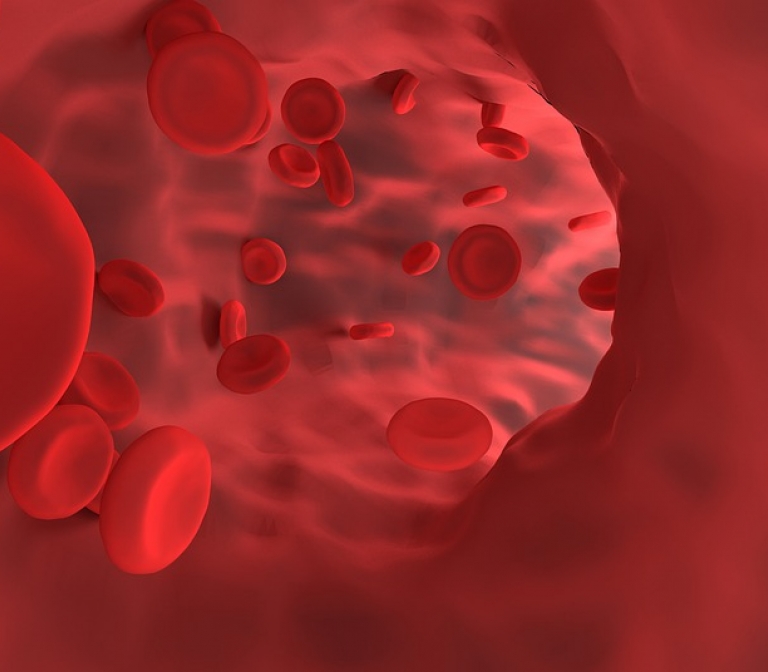 Making engineered red blood cells safe for clinical use