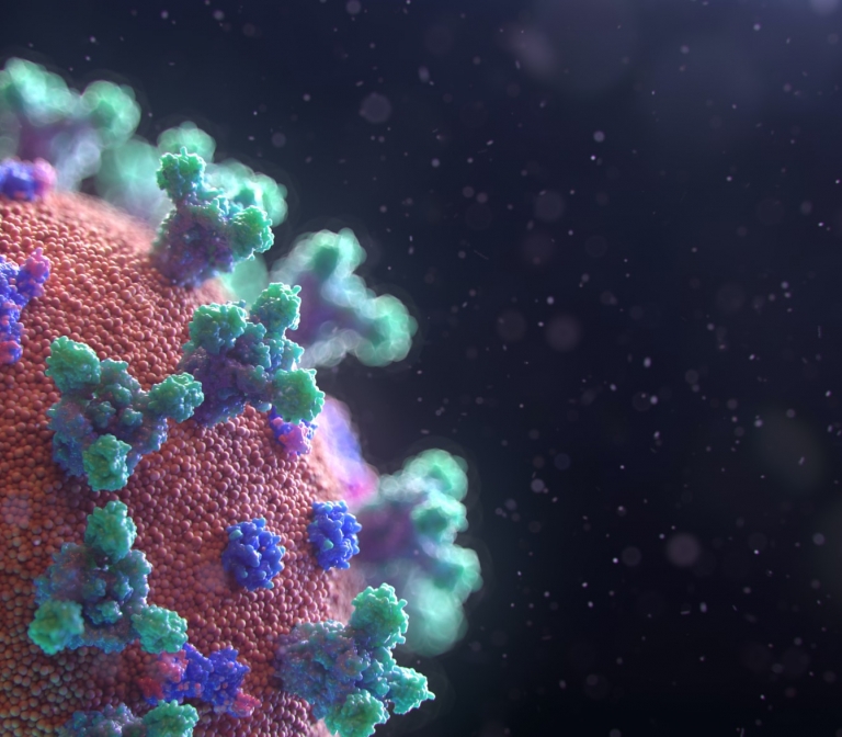 Leiden joins forces to develop improved coronavirus vaccines