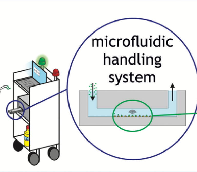 Portable device for fast, reliable corona testing on the spot