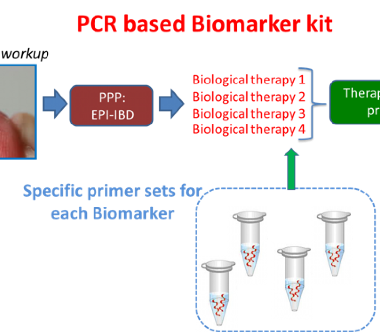 The development of predictive epigenetic biomarkers to guide successful treatment of CD